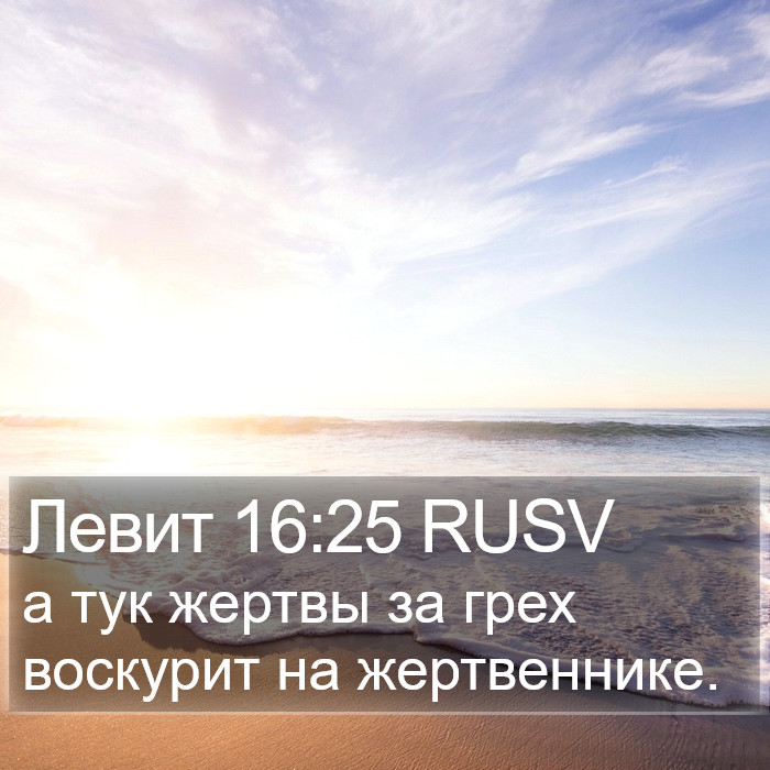 Левит 16:25 RUSV Bible Study