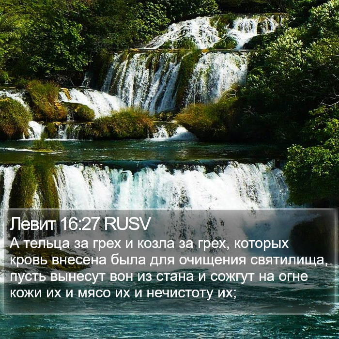 Левит 16:27 RUSV Bible Study