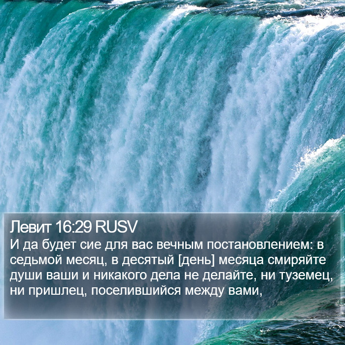 Левит 16:29 RUSV Bible Study