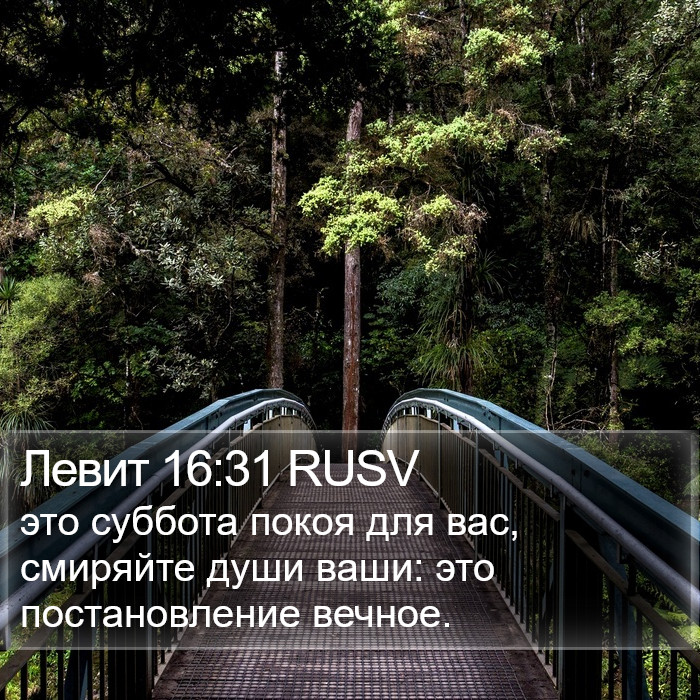 Левит 16:31 RUSV Bible Study
