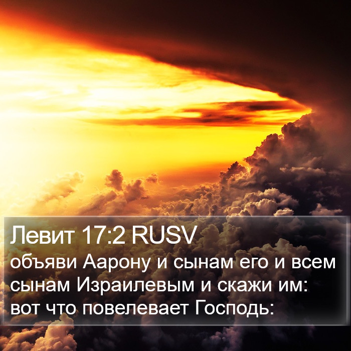 Левит 17:2 RUSV Bible Study