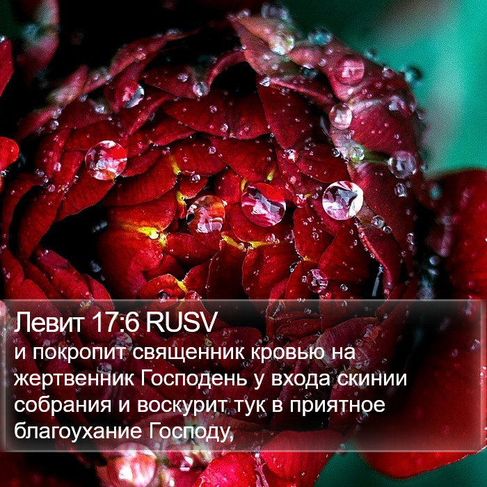 Левит 17:6 RUSV Bible Study