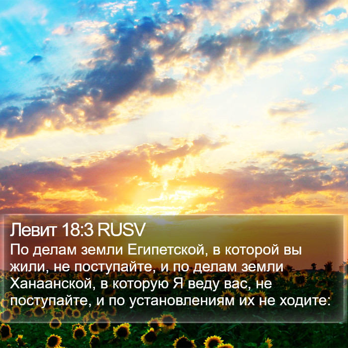Левит 18:3 RUSV Bible Study