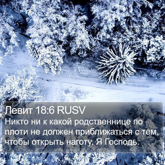 Левит 18:6 RUSV Bible Study