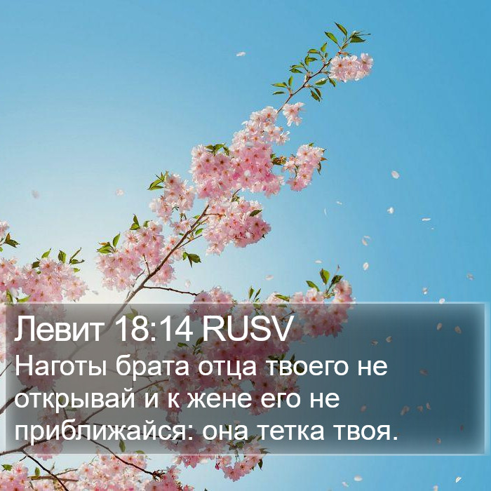 Левит 18:14 RUSV Bible Study