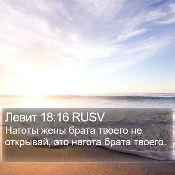 Левит 18:16 RUSV Bible Study