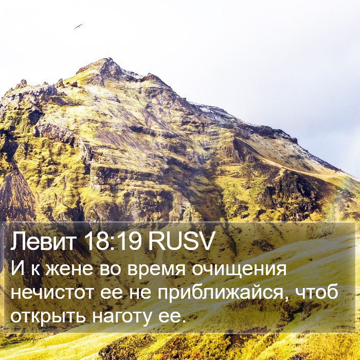 Левит 18:19 RUSV Bible Study