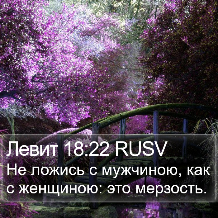 Левит 18:22 RUSV Bible Study