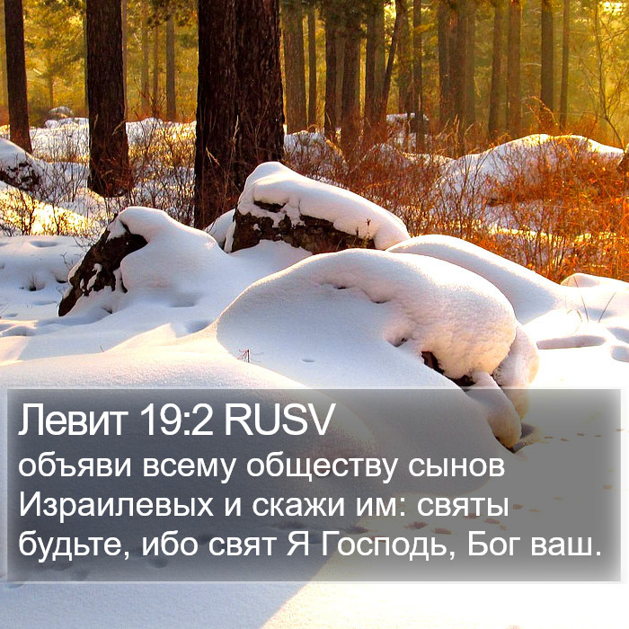 Левит 19:2 RUSV Bible Study