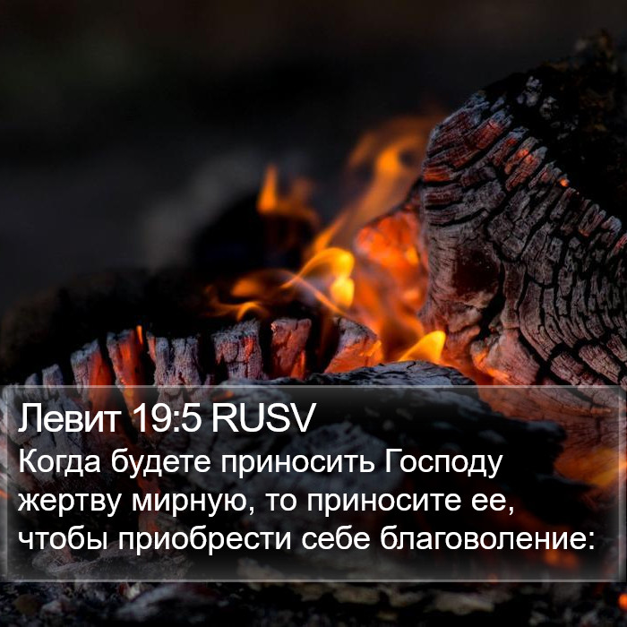 Левит 19:5 RUSV Bible Study