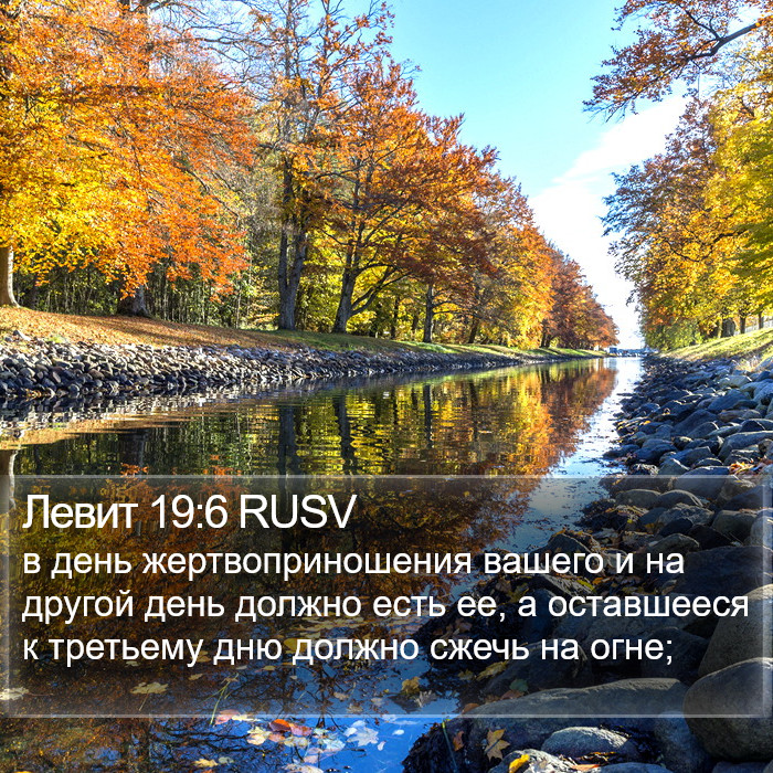 Левит 19:6 RUSV Bible Study