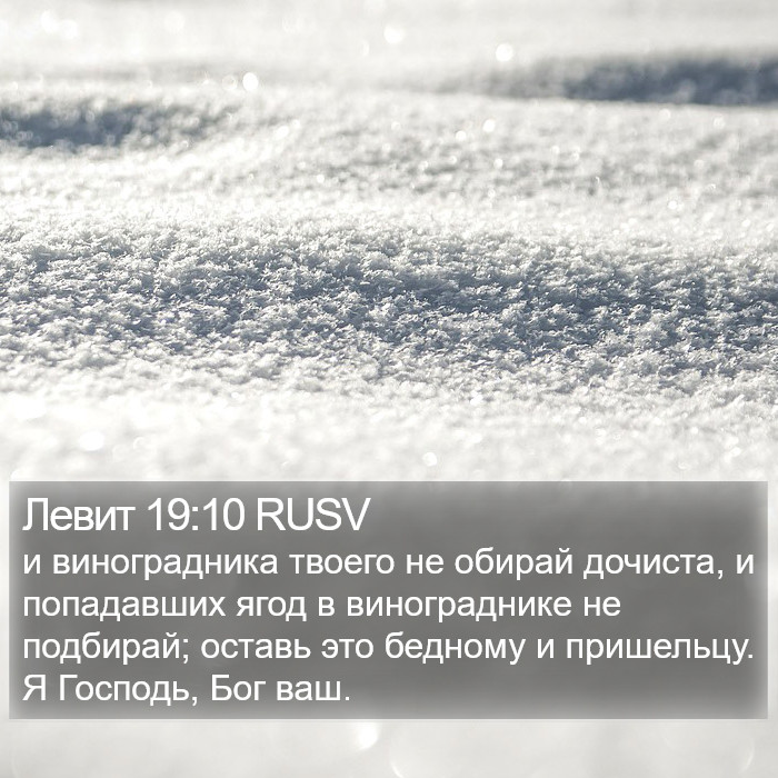 Левит 19:10 RUSV Bible Study