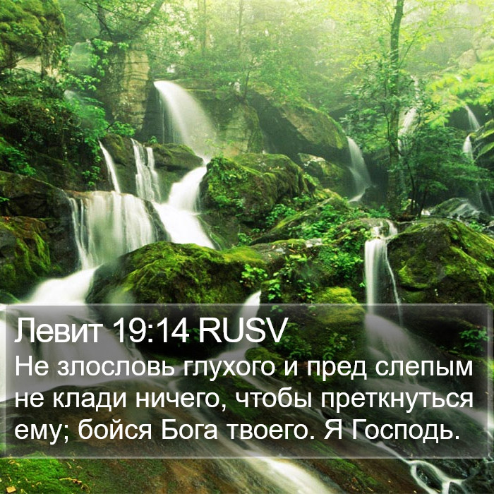 Левит 19:14 RUSV Bible Study