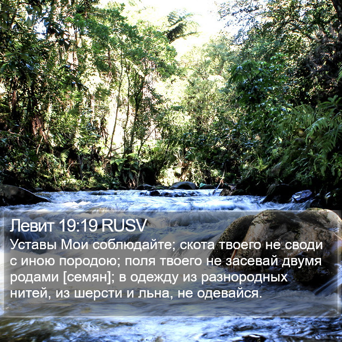 Левит 19:19 RUSV Bible Study