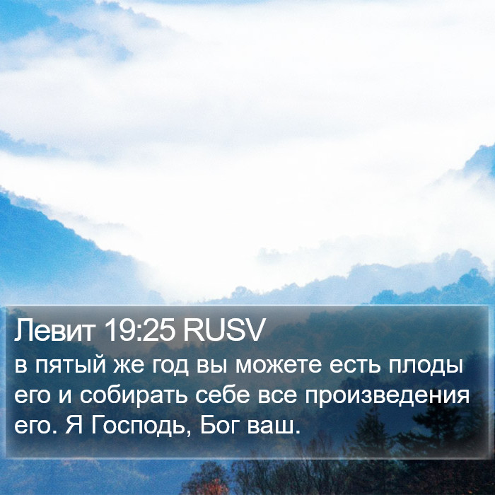 Левит 19:25 RUSV Bible Study