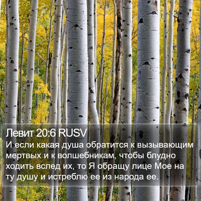 Левит 20:6 RUSV Bible Study