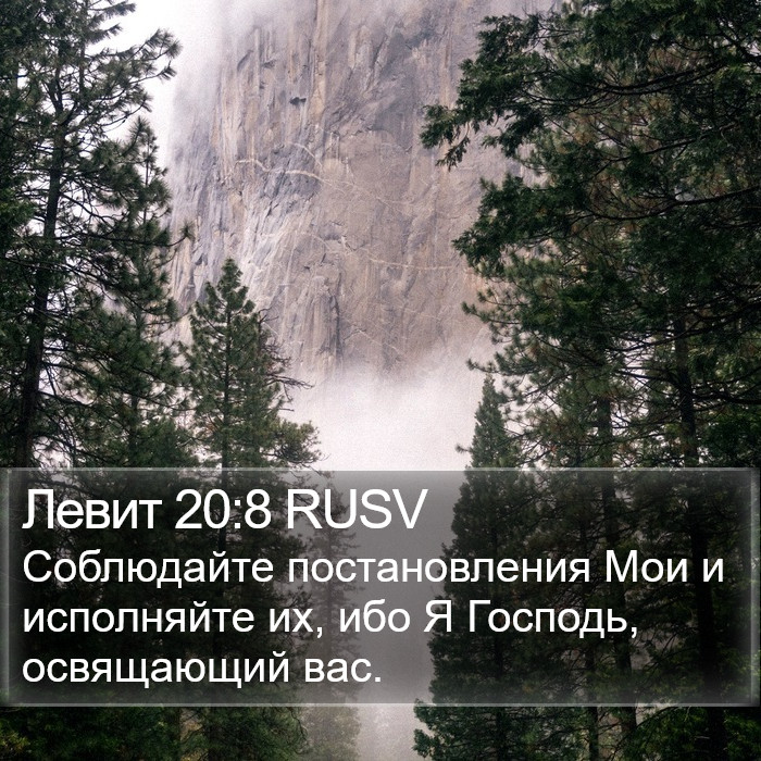 Левит 20:8 RUSV Bible Study