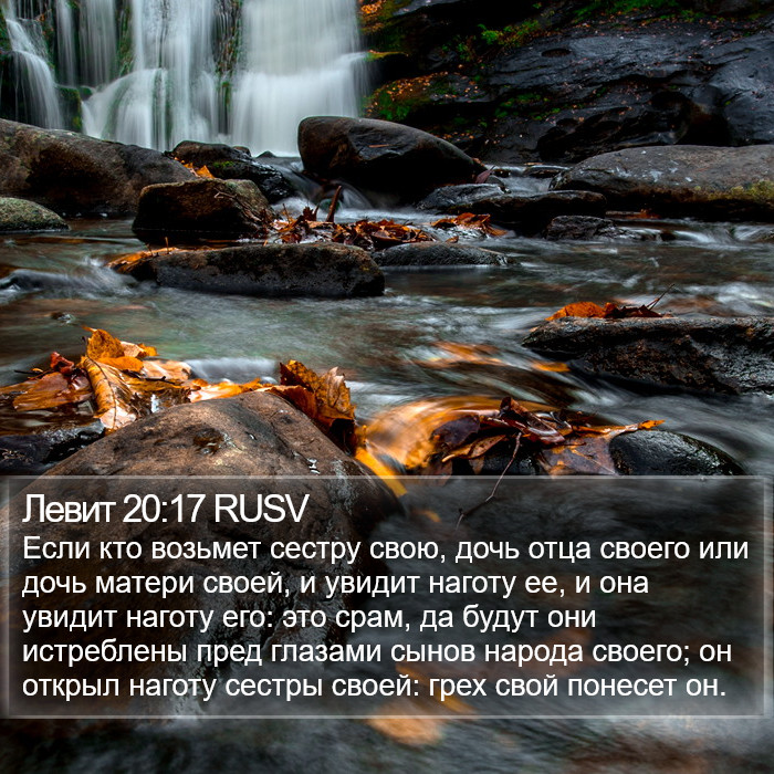 Левит 20:17 RUSV Bible Study