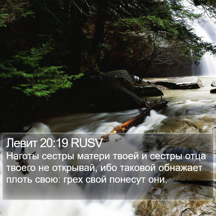 Левит 20:19 RUSV Bible Study