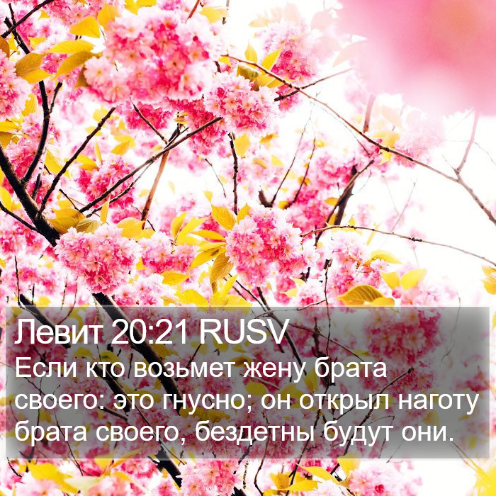 Левит 20:21 RUSV Bible Study