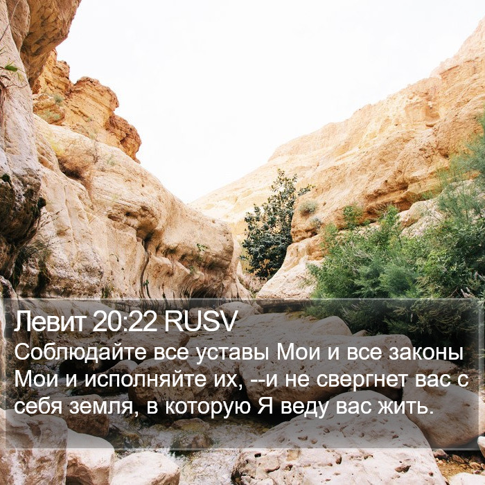 Левит 20:22 RUSV Bible Study