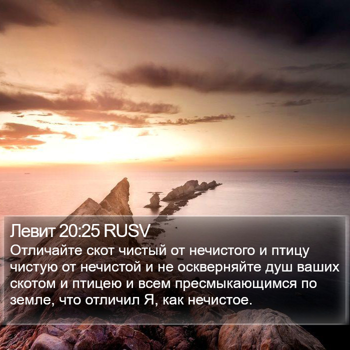 Левит 20:25 RUSV Bible Study