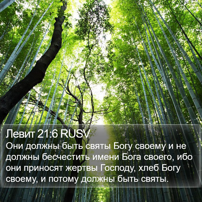 Левит 21:6 RUSV Bible Study