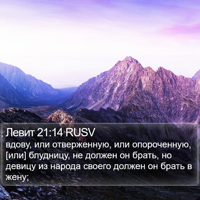 Левит 21:14 RUSV Bible Study