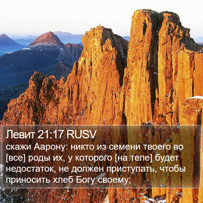 Левит 21:17 RUSV Bible Study