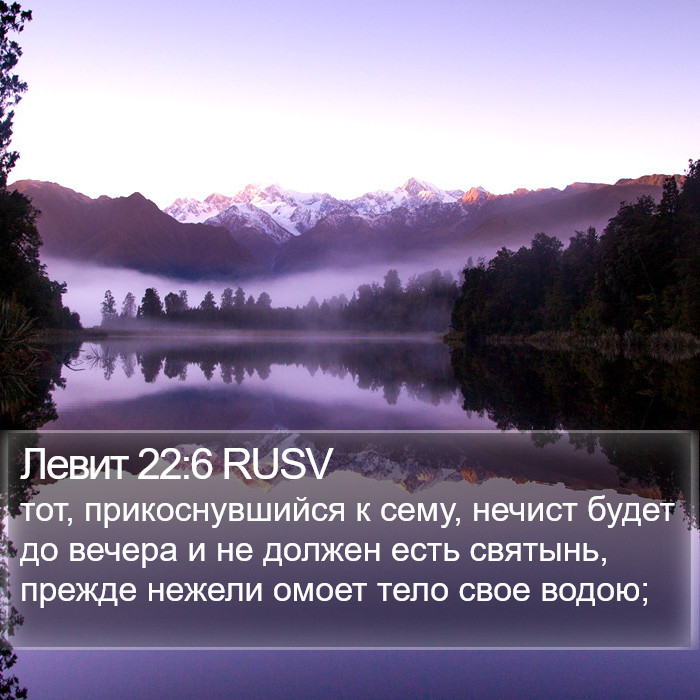 Левит 22:6 RUSV Bible Study