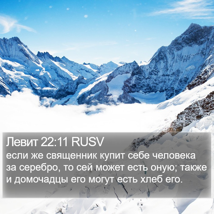 Левит 22:11 RUSV Bible Study