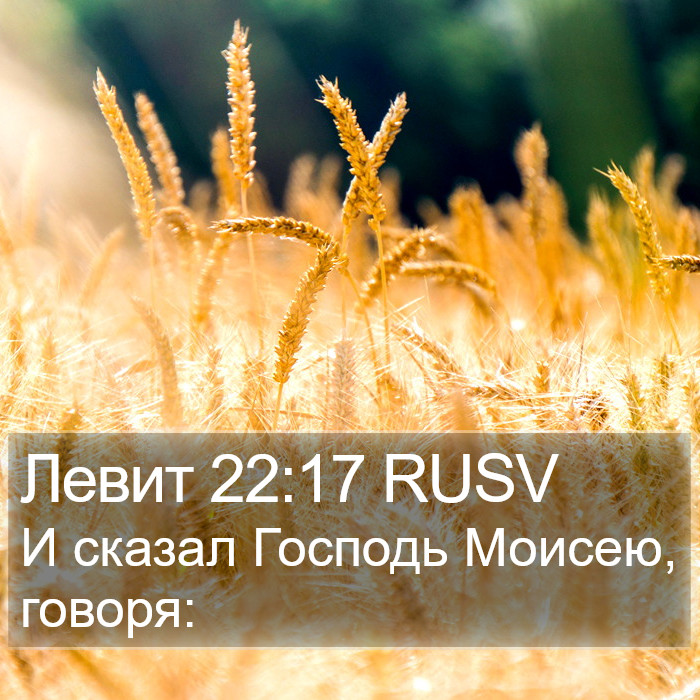 Левит 22:17 RUSV Bible Study