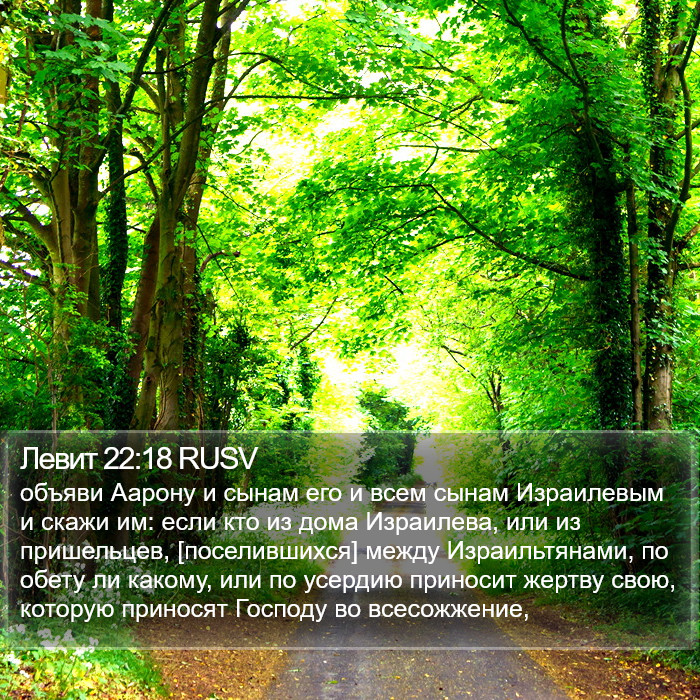 Левит 22:18 RUSV Bible Study