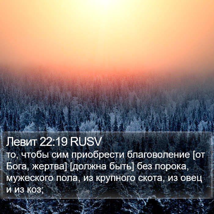 Левит 22:19 RUSV Bible Study