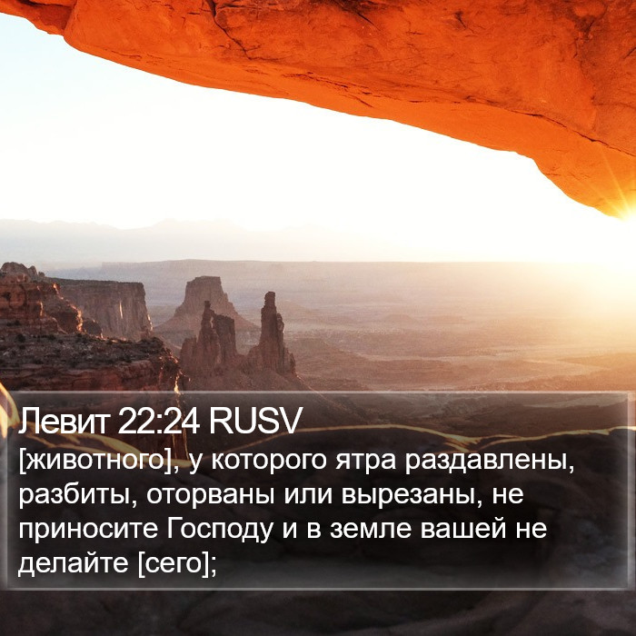 Левит 22:24 RUSV Bible Study