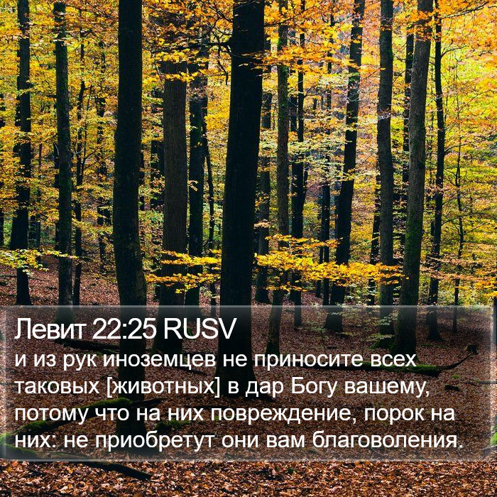 Левит 22:25 RUSV Bible Study