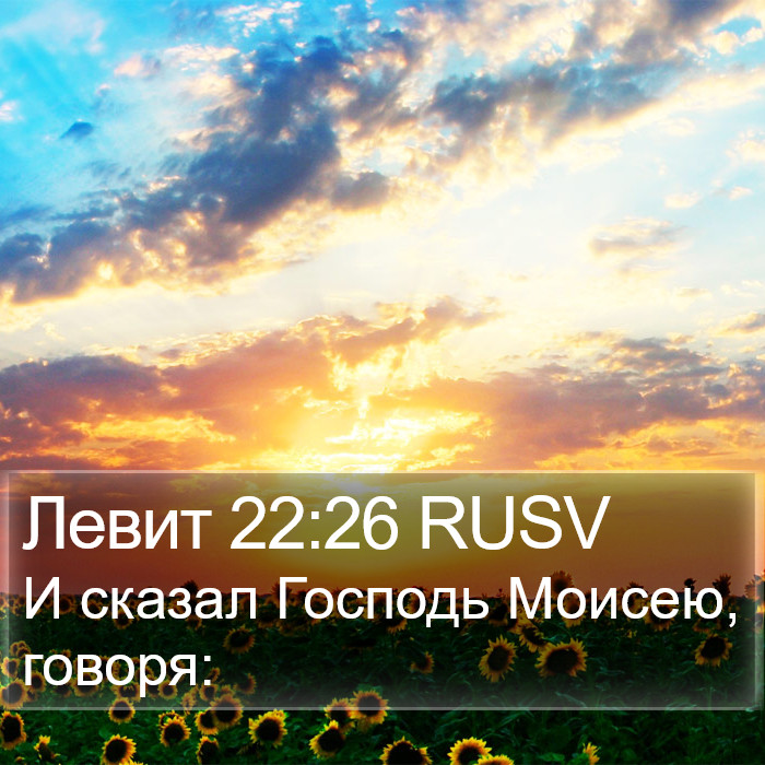 Левит 22:26 RUSV Bible Study