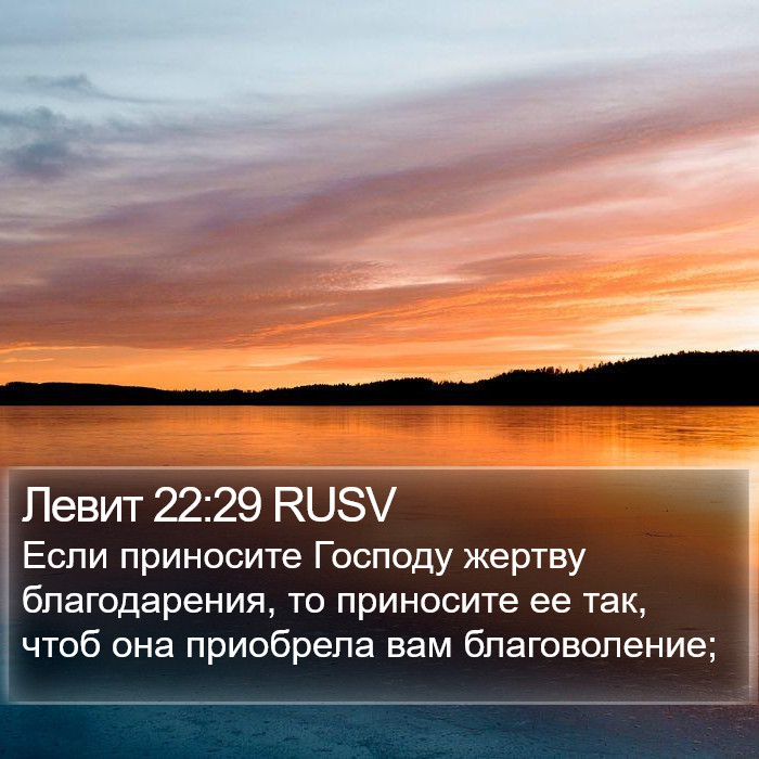 Левит 22:29 RUSV Bible Study