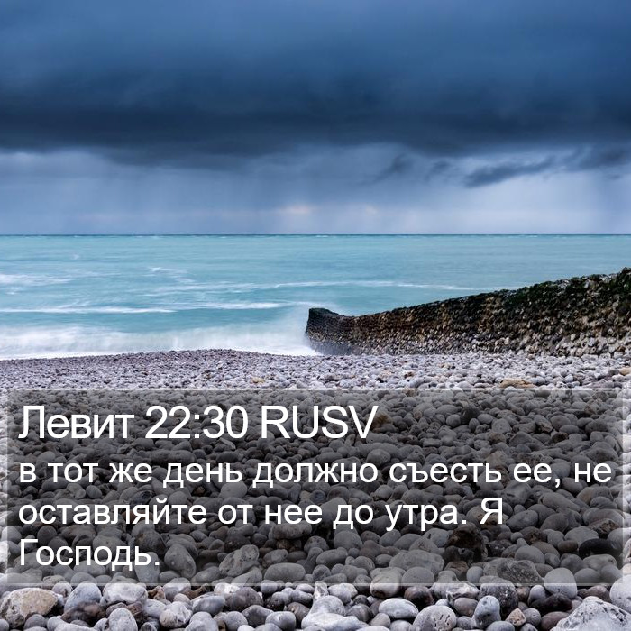 Левит 22:30 RUSV Bible Study