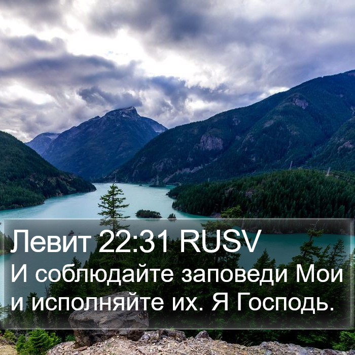 Левит 22:31 RUSV Bible Study