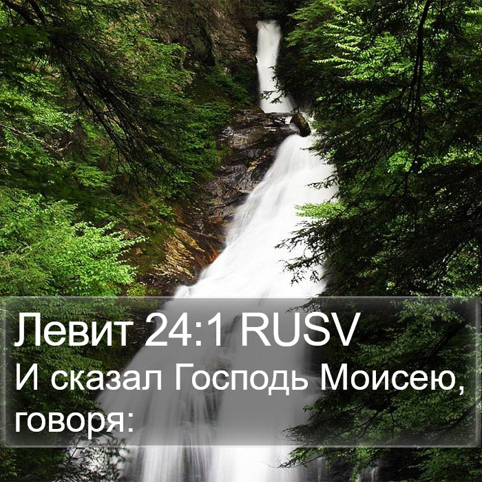 Левит 24:1 RUSV Bible Study