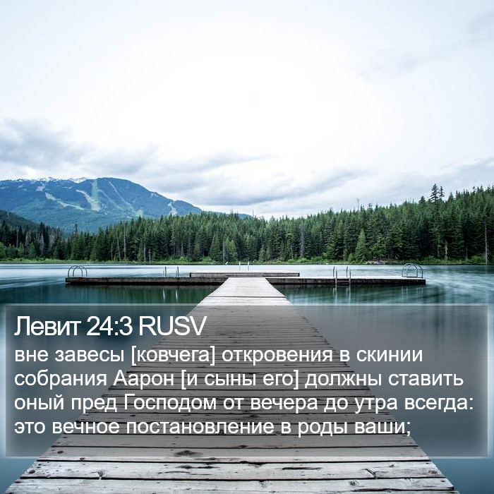 Левит 24:3 RUSV Bible Study