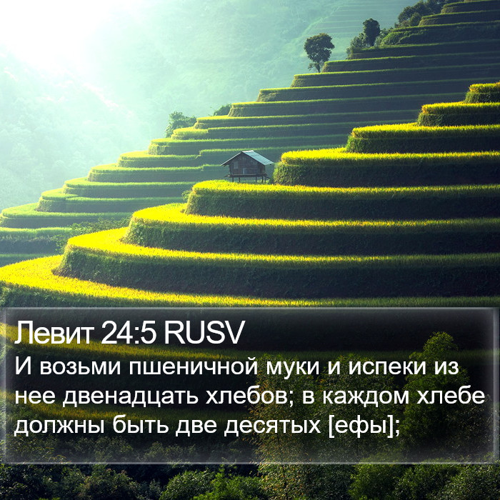 Левит 24:5 RUSV Bible Study