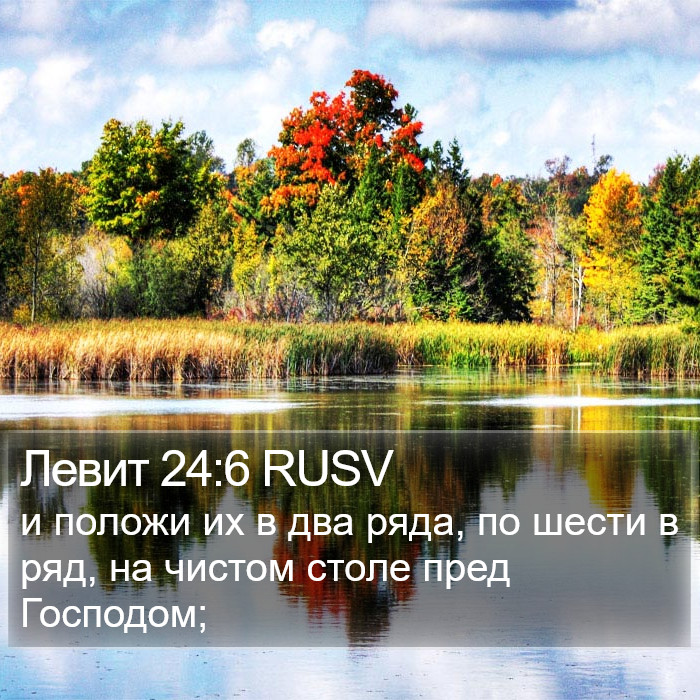 Левит 24:6 RUSV Bible Study