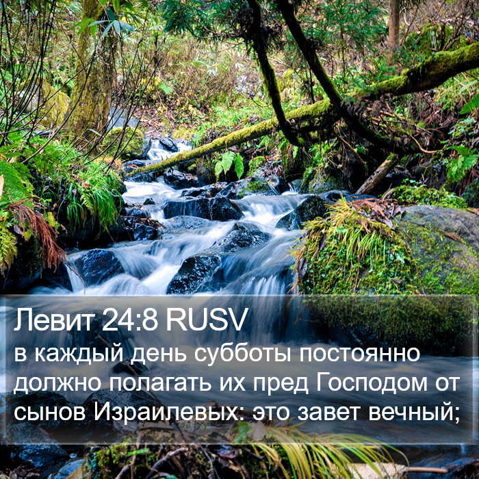 Левит 24:8 RUSV Bible Study