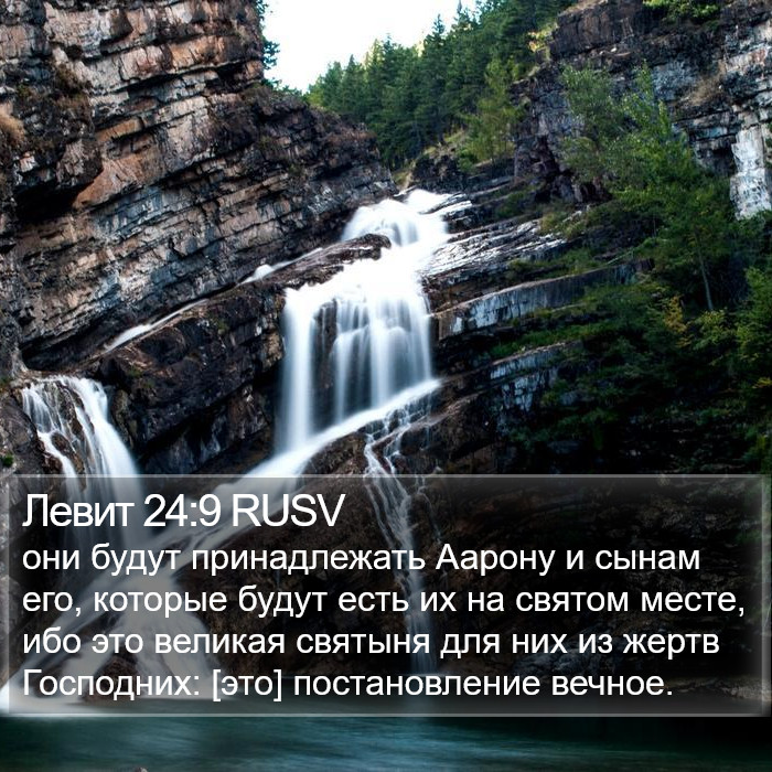 Левит 24:9 RUSV Bible Study