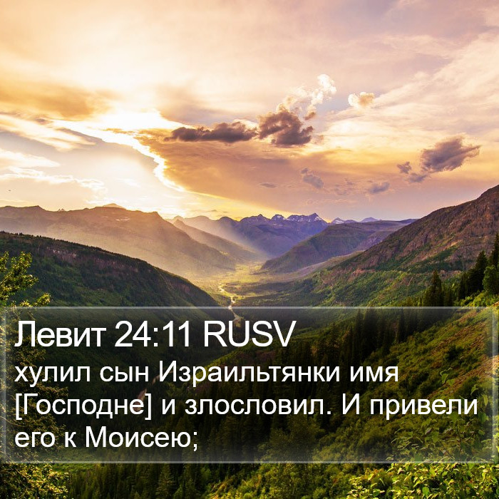 Левит 24:11 RUSV Bible Study