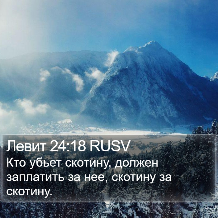 Левит 24:18 RUSV Bible Study