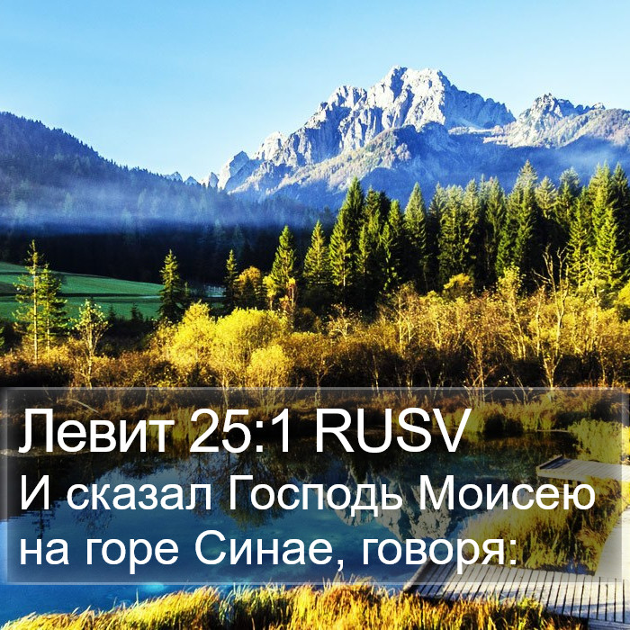 Левит 25:1 RUSV Bible Study