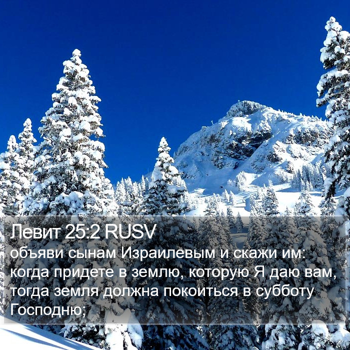 Левит 25:2 RUSV Bible Study